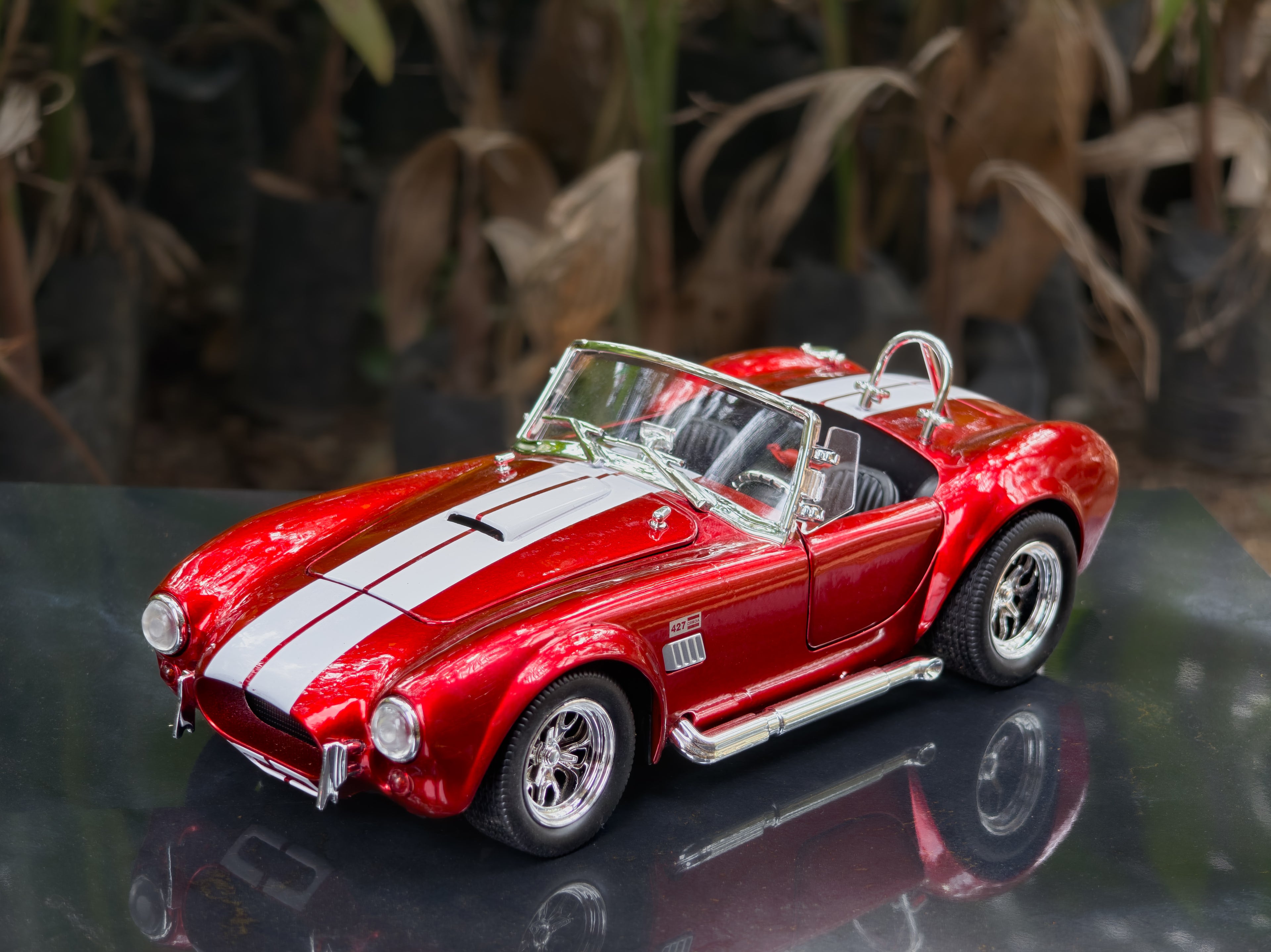 1965 Shelby Cobra 427 S/C 1:24 Scale Premium Detailing